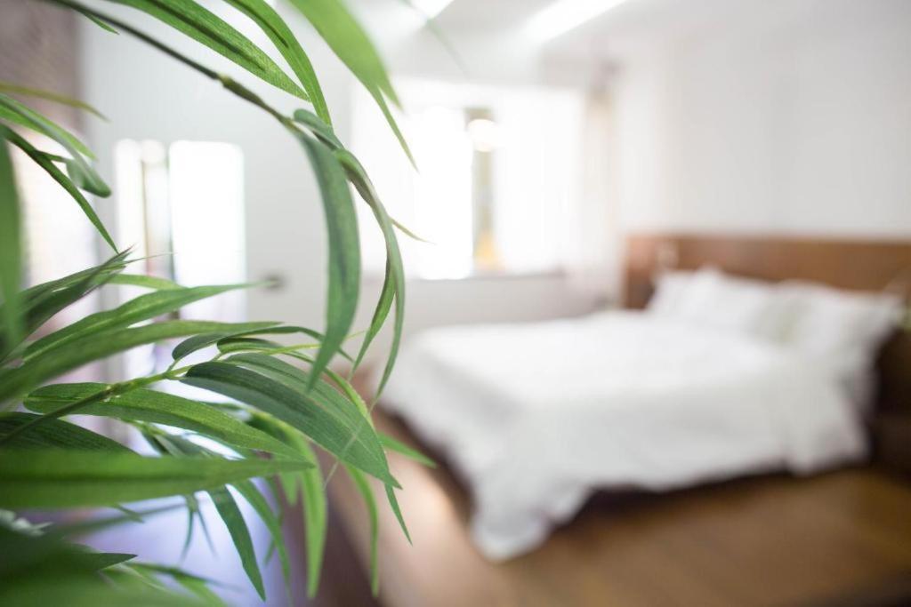 Madeira Loft I - City Center Funchal  Eksteriør bilde