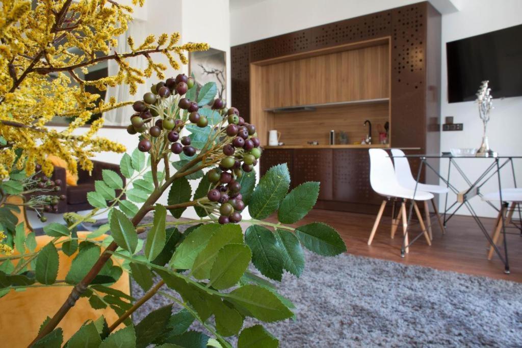 Madeira Loft I - City Center Funchal  Eksteriør bilde